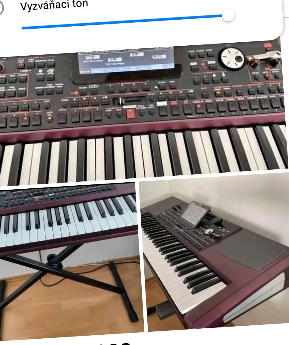 Predam korg pá 1000
