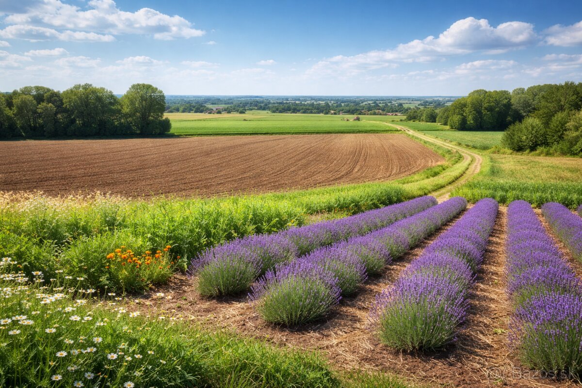 Hľadám ornú pôdu