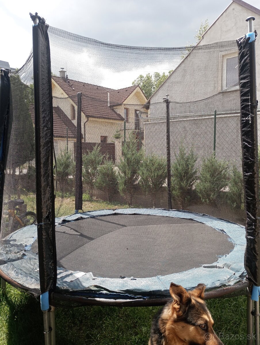 Trampolína