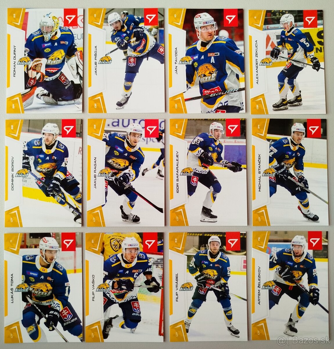 Hokejové kartičky SLOVENSKÁ HOKEJOVÁ LIGA 24/25  HC HUMENNÉ