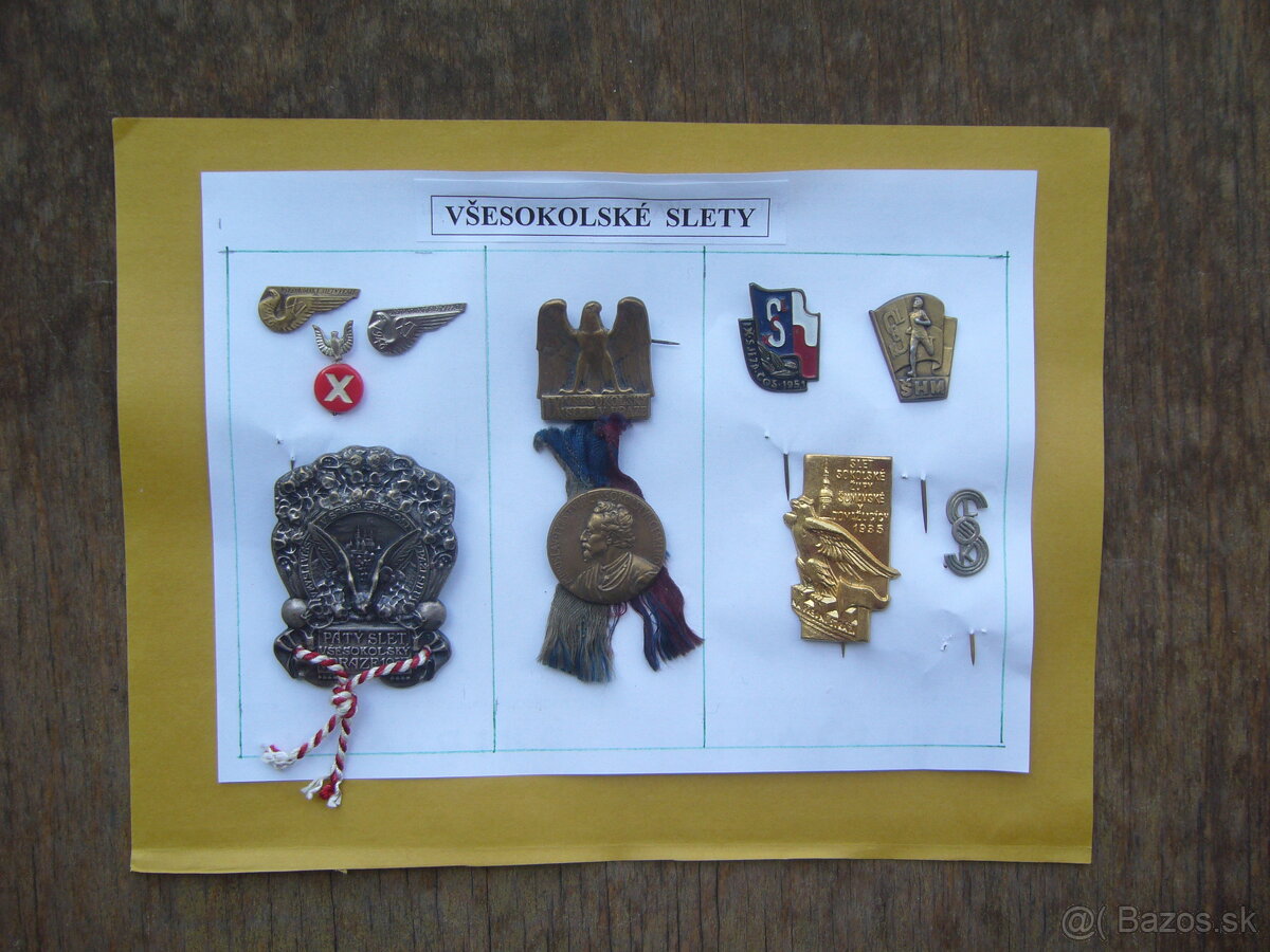 Všesokolské slety