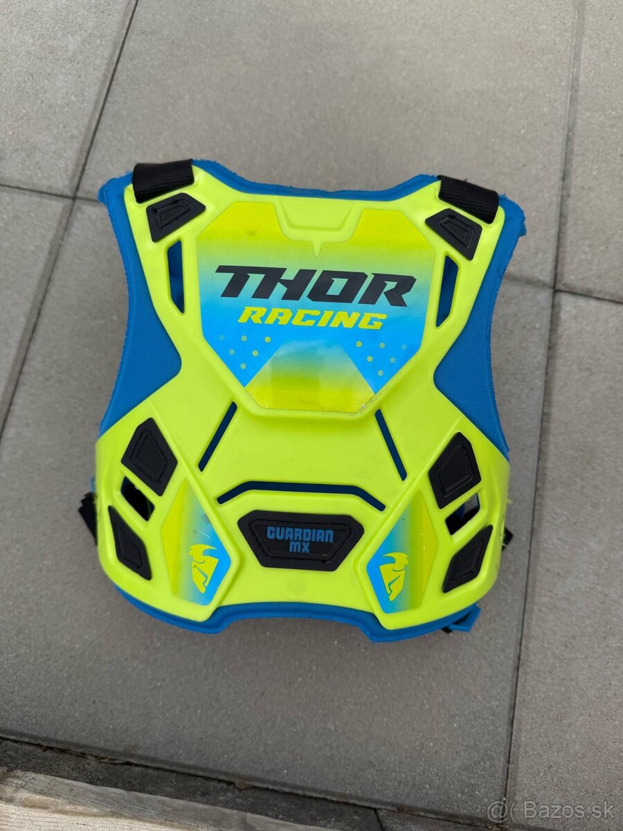 Korytnačka Thor