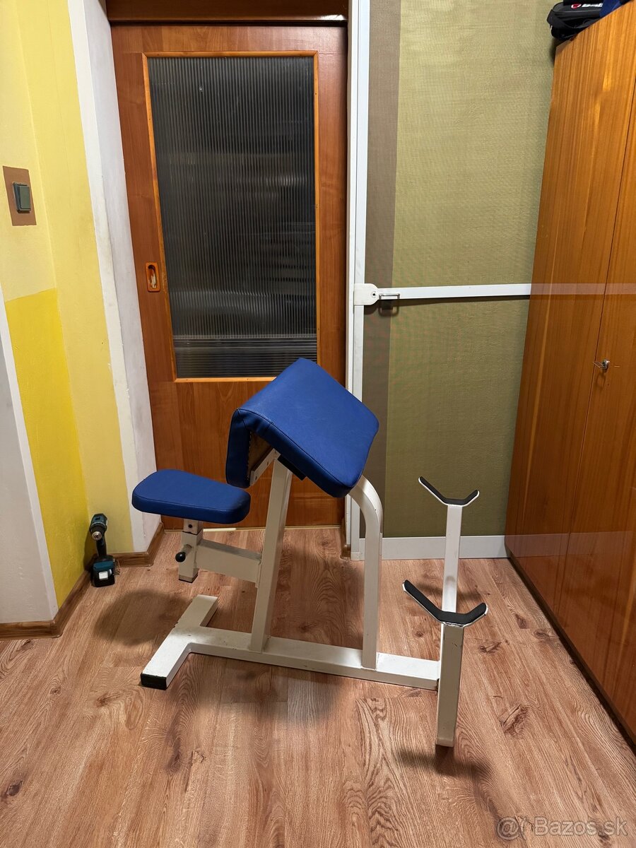 Scottova lavica na biceps
