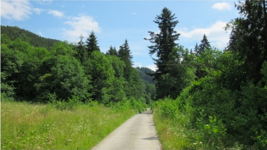 ponuknite pozemok 1000-2000m2 na okraji dediny, lesa