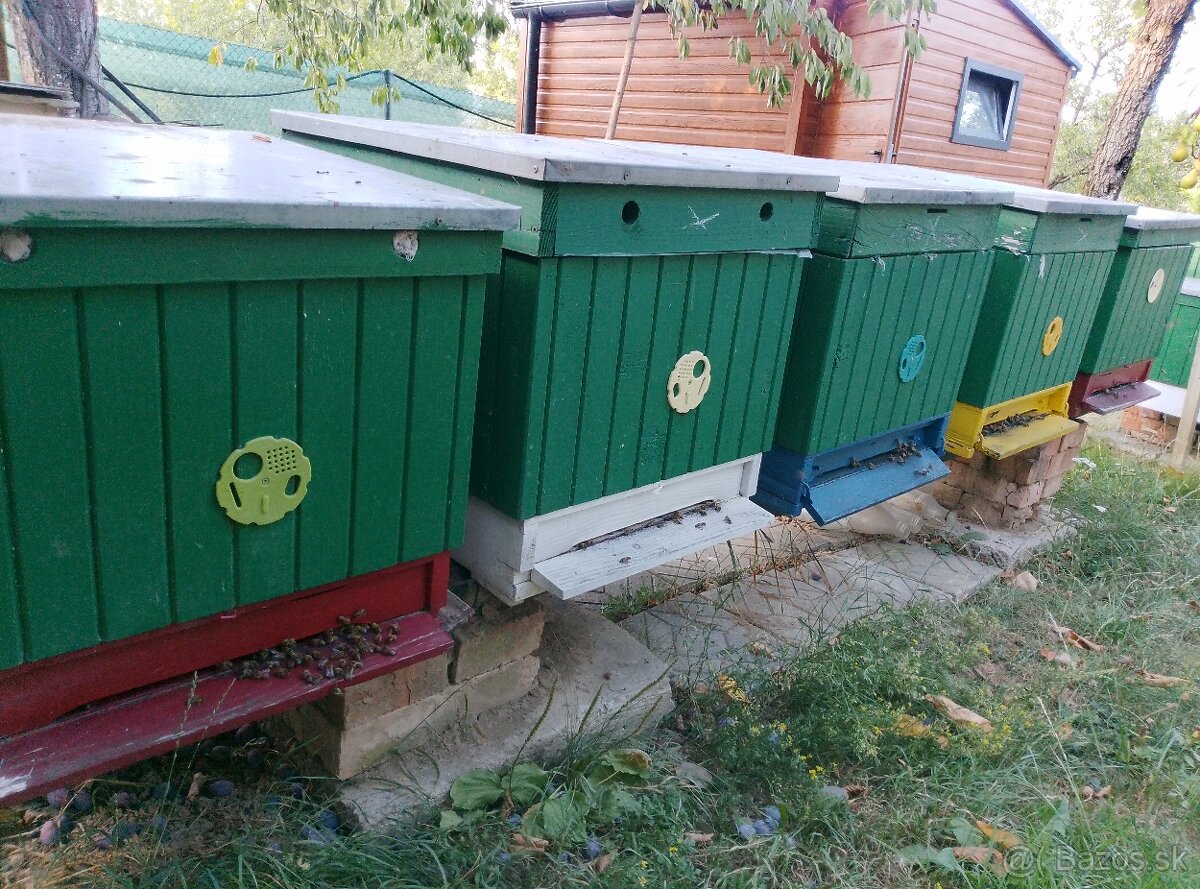 Predám včely