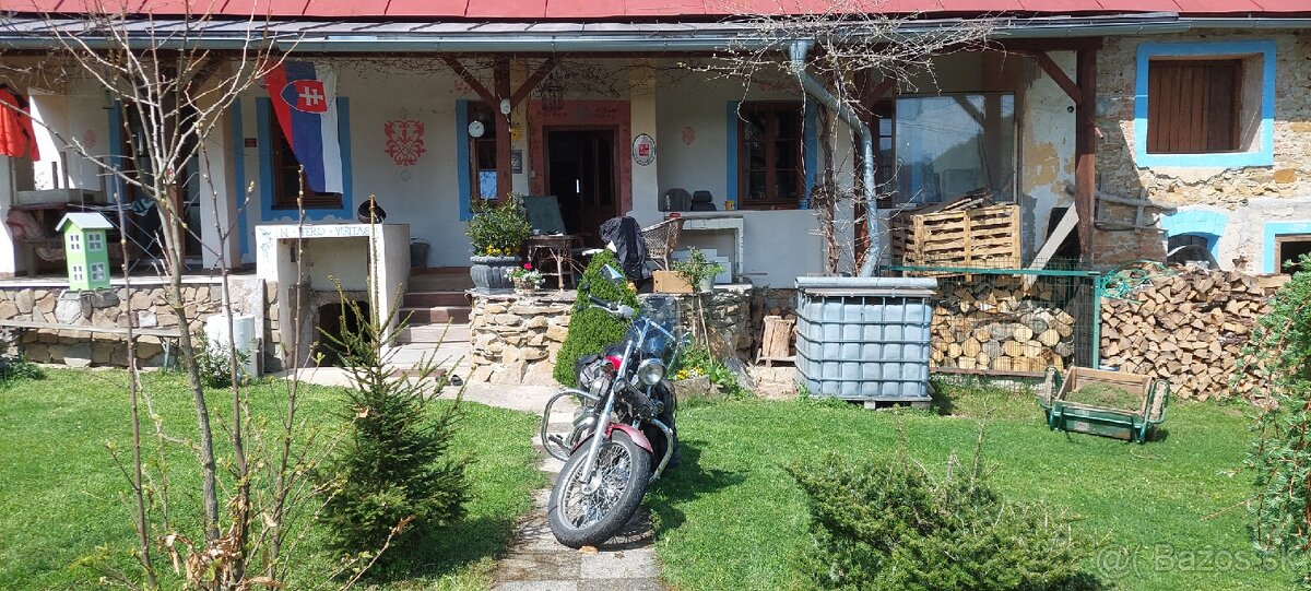 Predam Honda VT 600