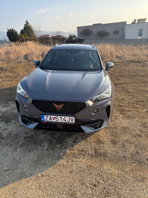 Cupra Formentor 2.0 TSI 310k 4Drive DSG Veloz