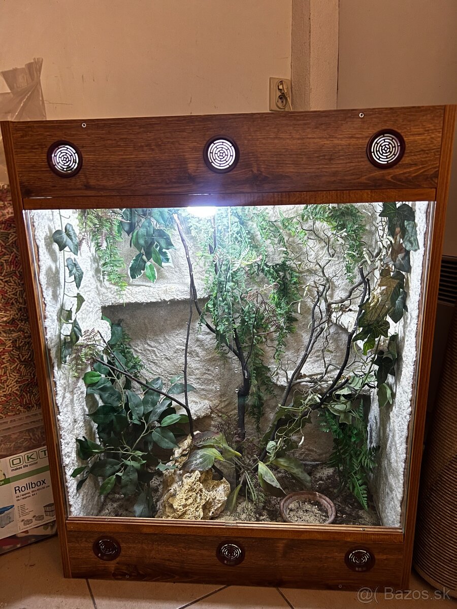 terárium pre tropické a arborálne živočíchy 🌿