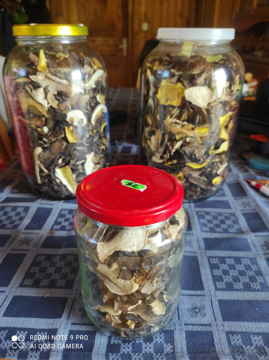 Sušené hríby huby