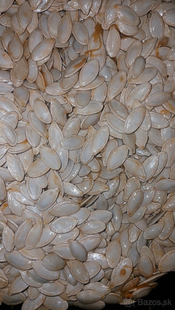 Predám tekvicové jadierka