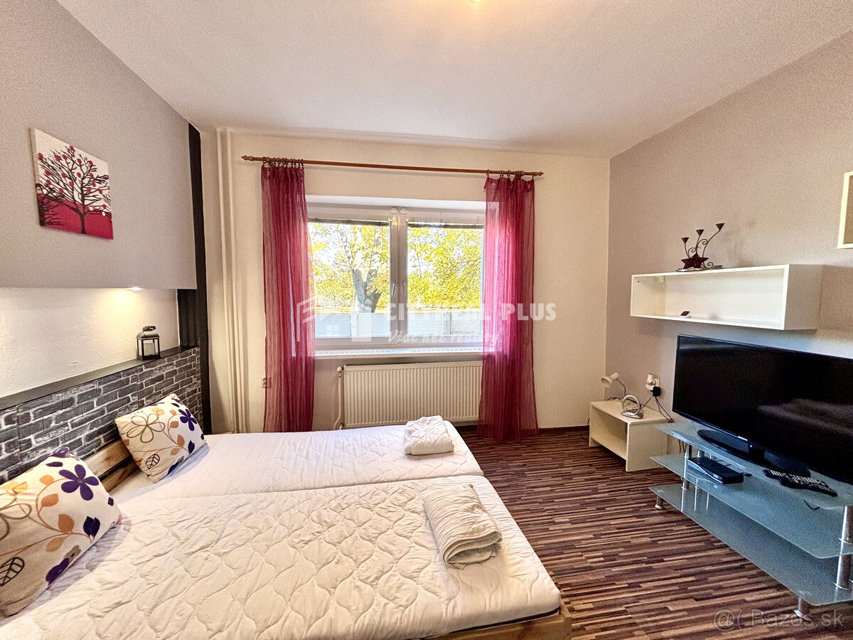 Ponúkame Vám na prenájom 1 izbový byt v rodinnom dome v Nový