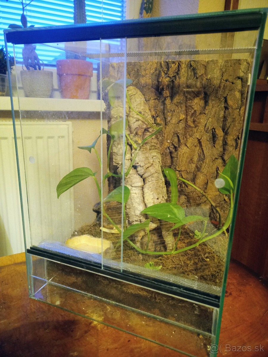 Zariadené terárium 30x30x40 pre tropického miláčika