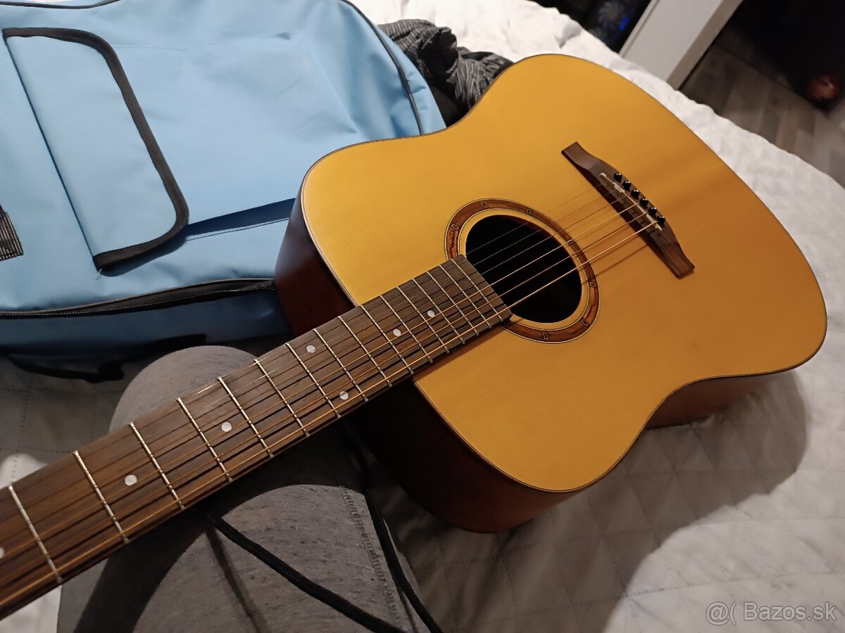 Akustická Gitara Martin Klema K100DS