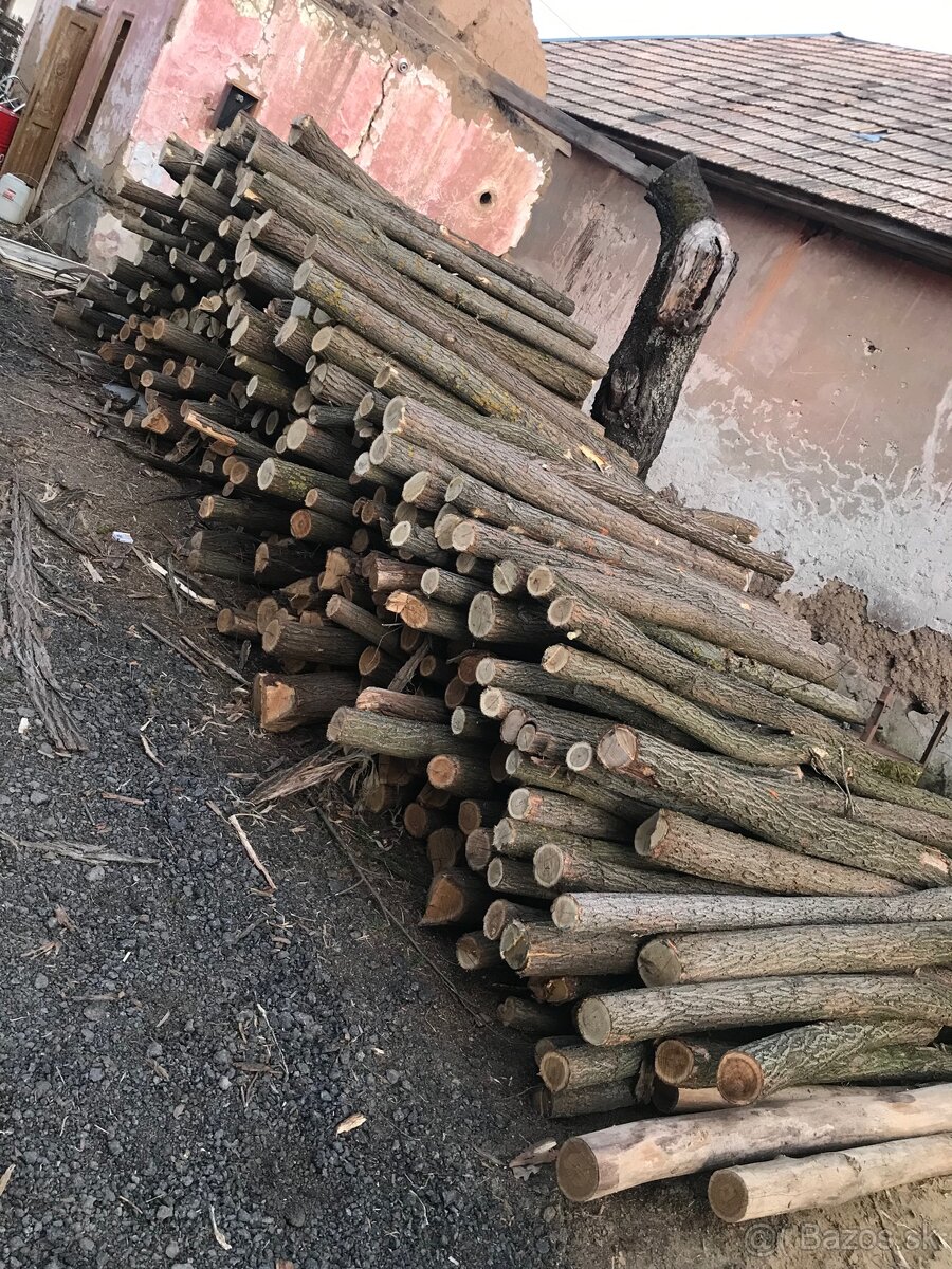Agátové Koly-AKCIA AKCIA