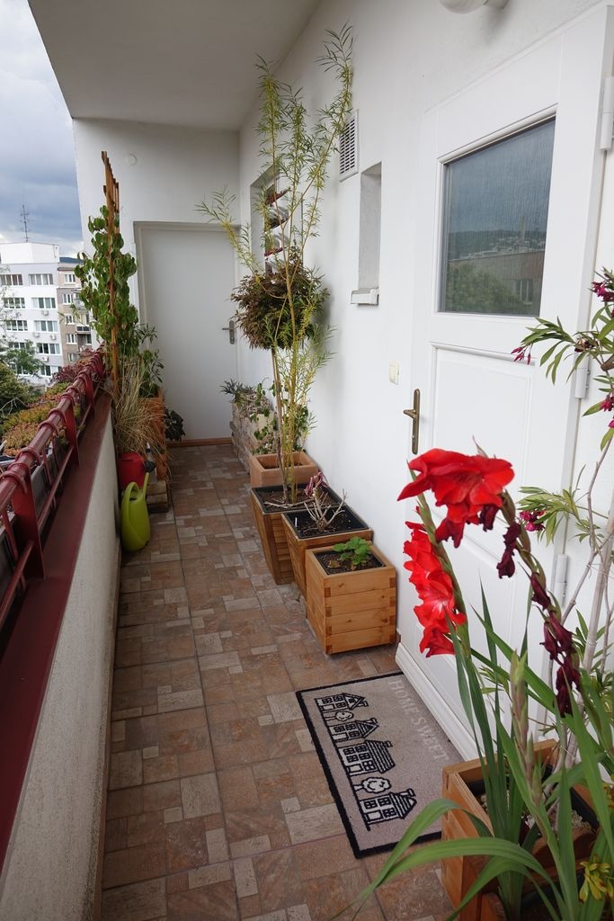 Large refurbished 1-bedroom apartment