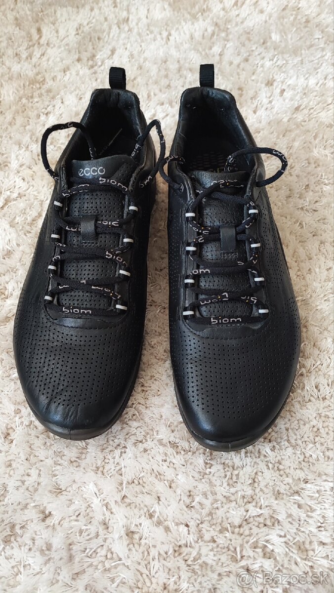 Ecco biom č.39