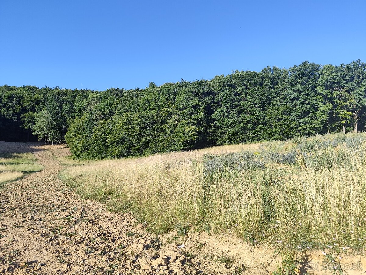 Lukratívny stavebný pozemok v Trenčíne – Kubrá