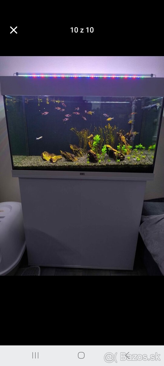 Akvarium