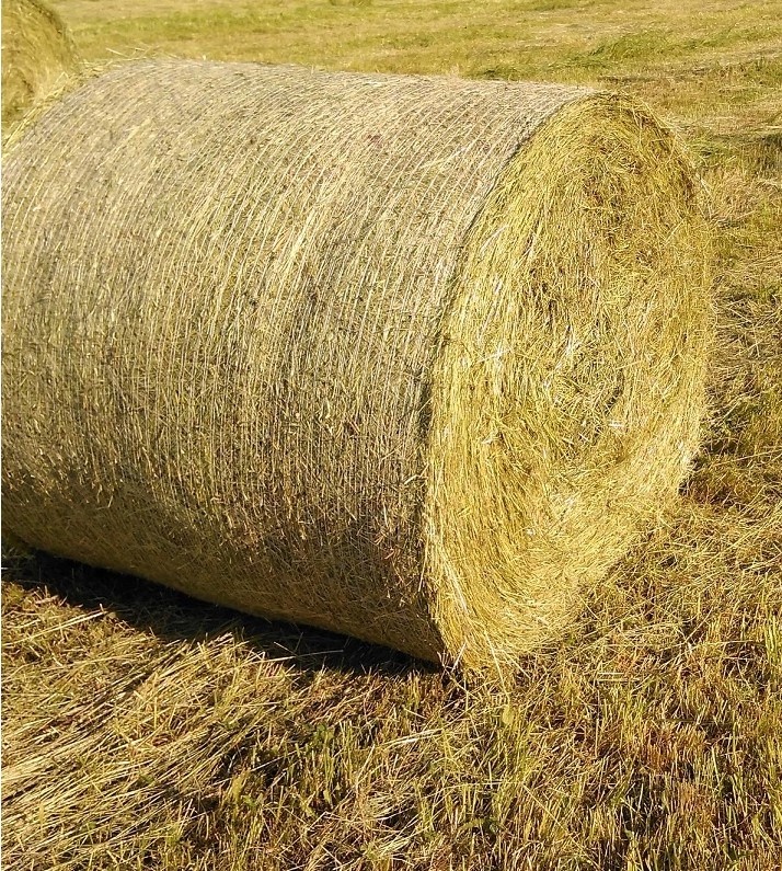 Predám balíky sena