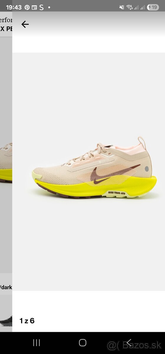 Nike Trailové topánky Pegasus Trail 5 GORE-TEX
