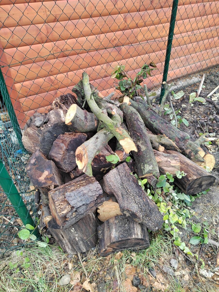 Drevo z ovocného stromu