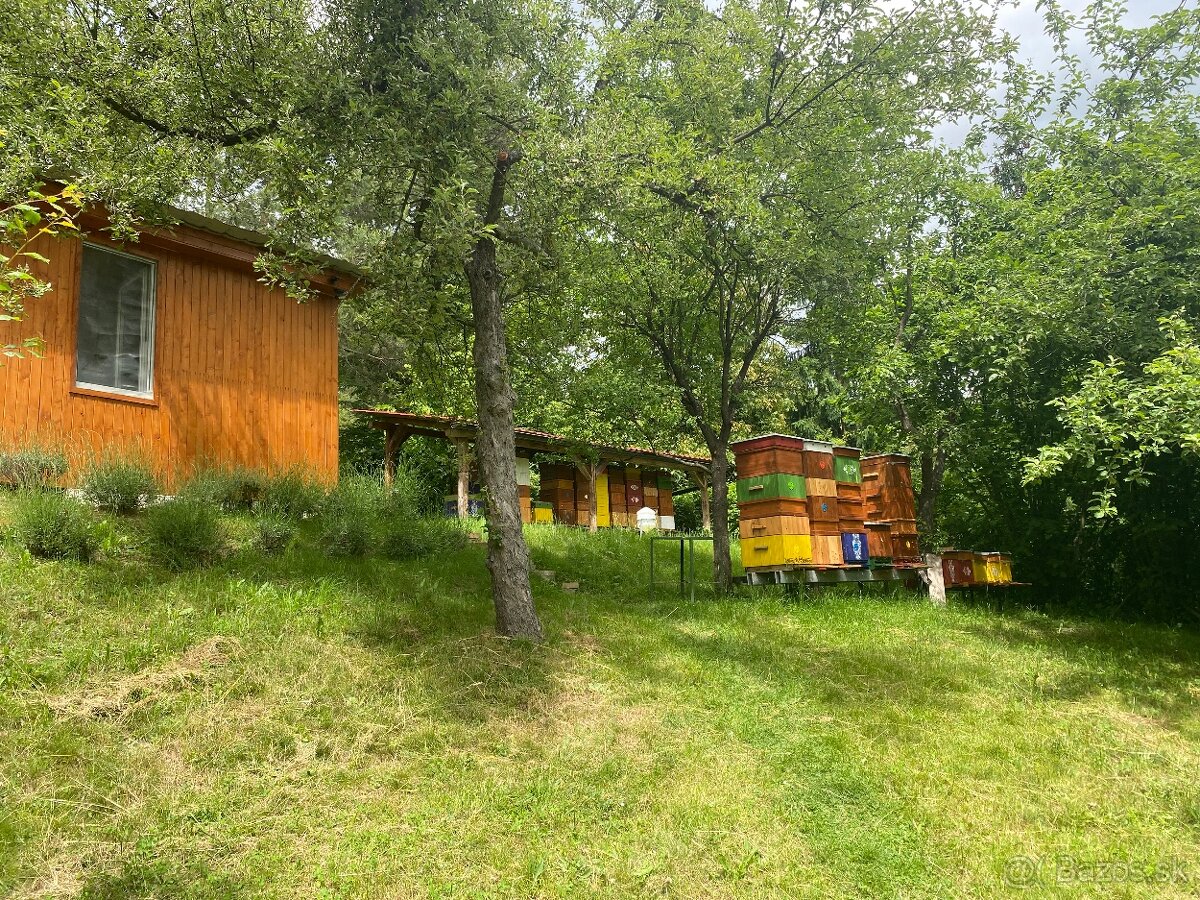 Včelí med