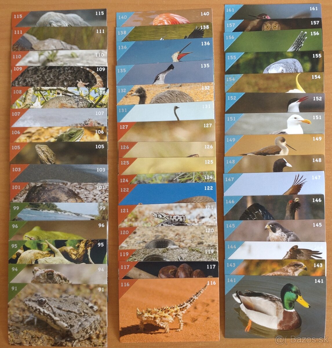 Nálepky Animal Kingdom