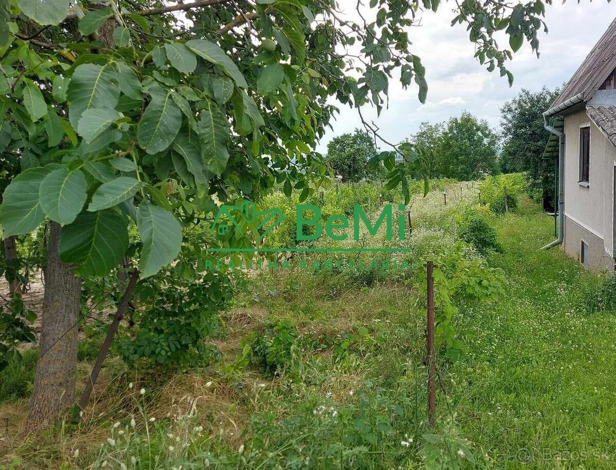 Predaj vinica podiel 1/4 Čechynce pri Nitre, (180-13-ERF)