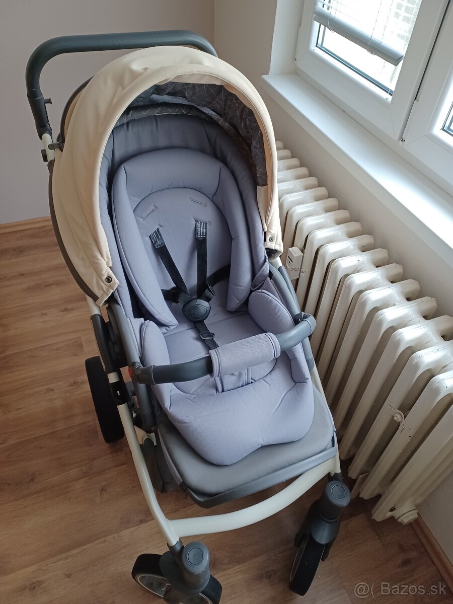 Anex sport