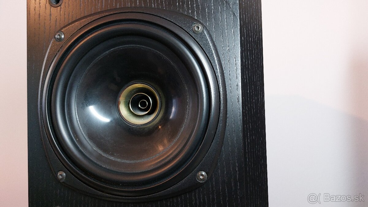 TANNOY - D100