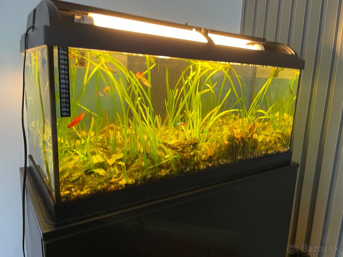 Predám kompletne zariadené 100 litrové akvárium