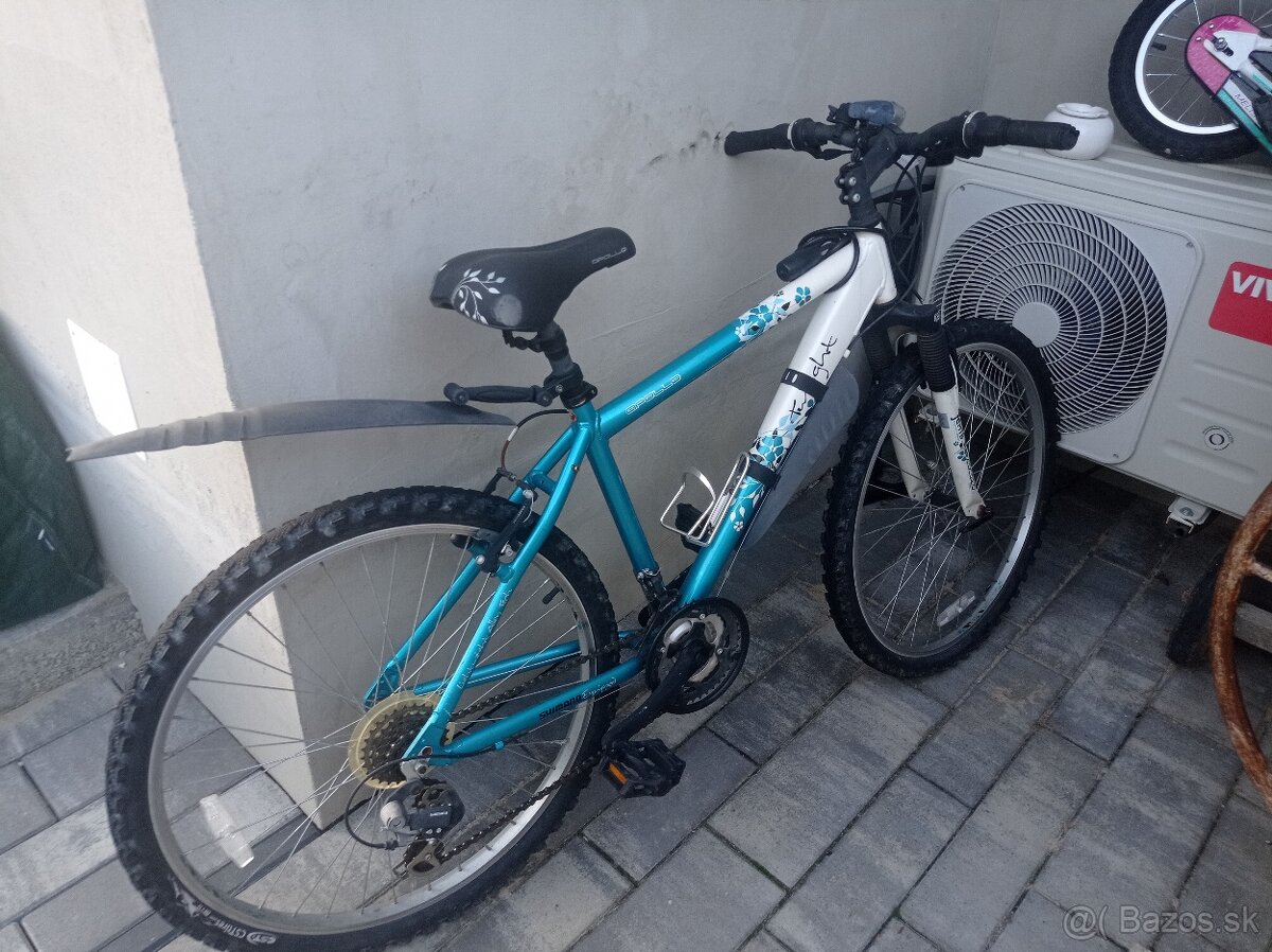 Bicykel dámsky