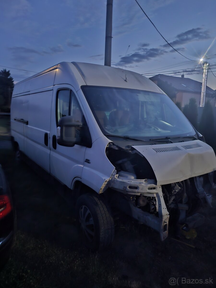Ducato rozpredam
