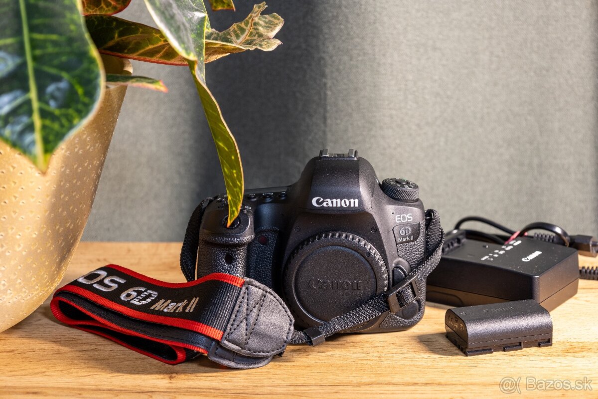 Canon 6D Mark II (top stav)