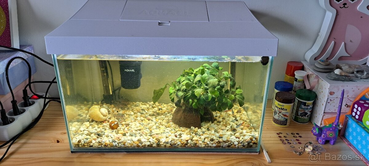 Kompletné akvárium 25 l s rybičkami a slimákmi – 30 € (Spišs