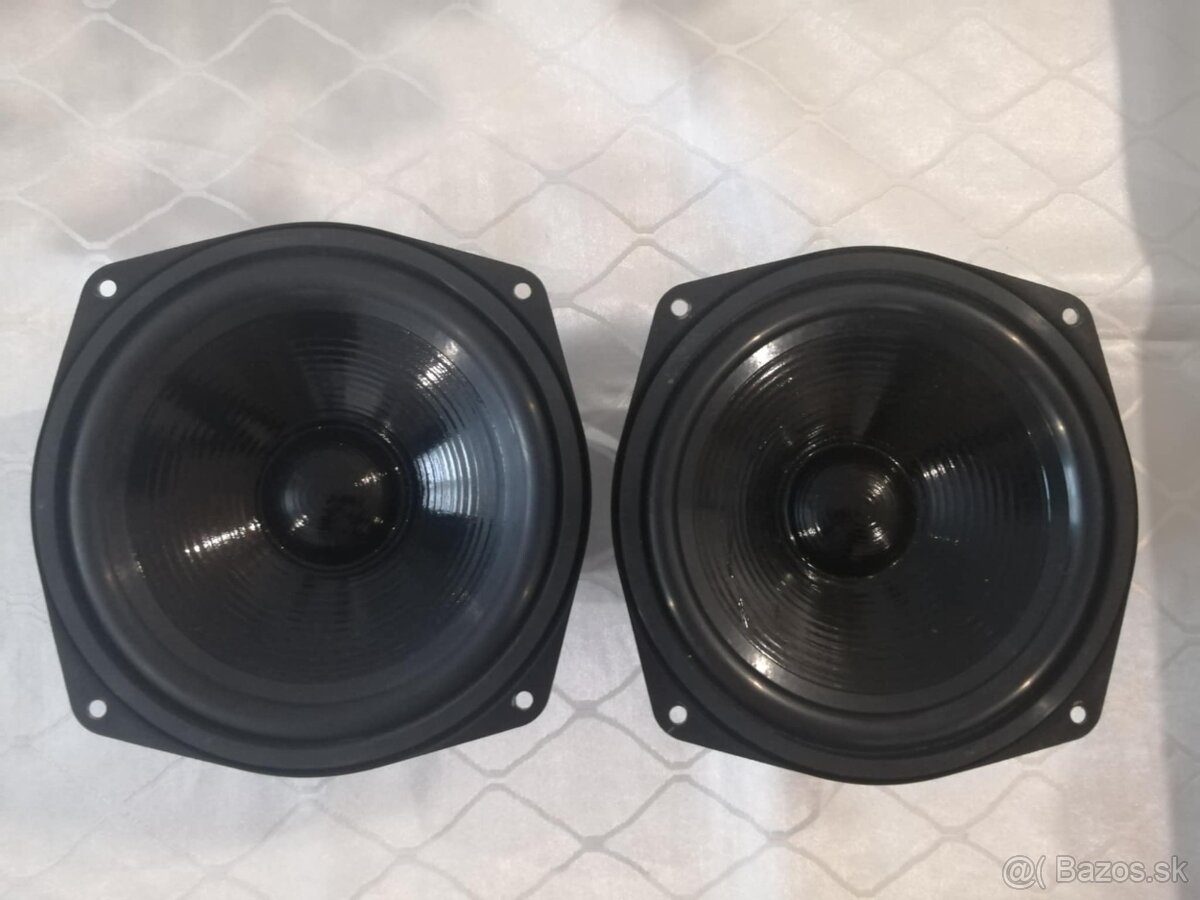Basove repro tesla-ARN-5694