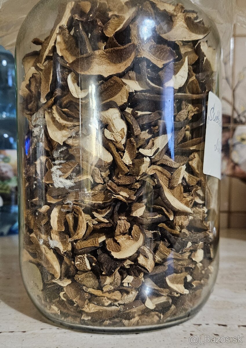 Predám suchohríby tohtoročné