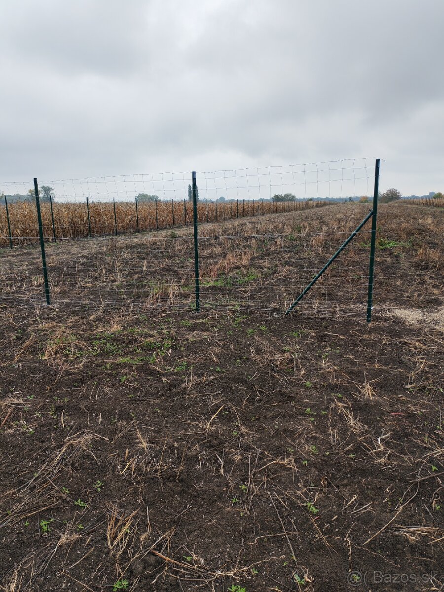 Predaj pozemku v Hurbanove pri hlavnej ceste
