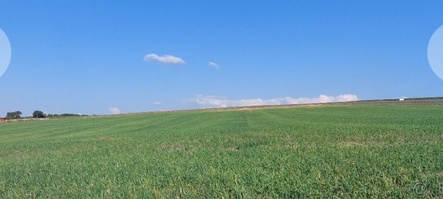 Skalica predaj širokého pozemku ZLAVA