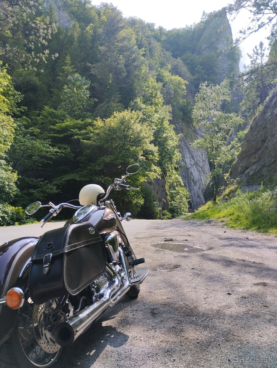 Yamaha XV 1600 Wildstar