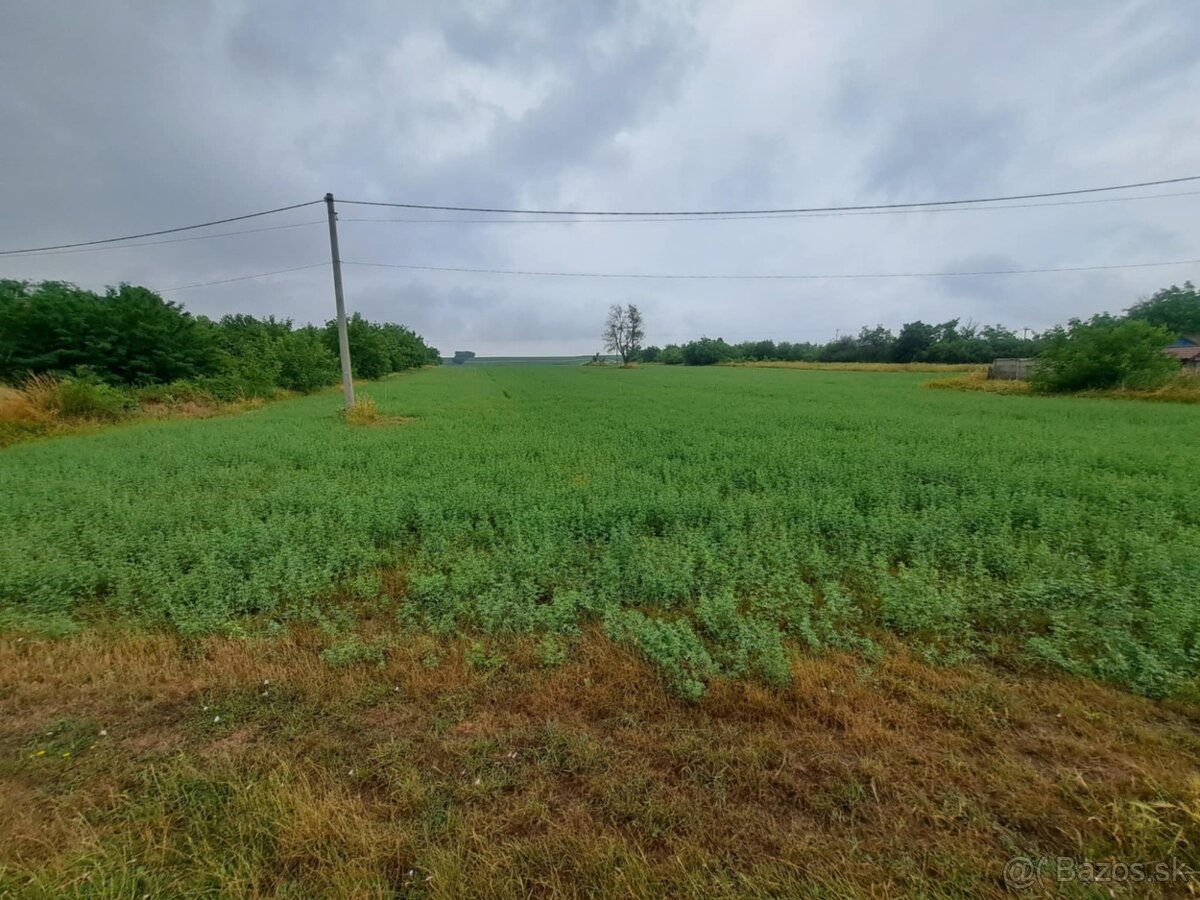 Predám pozemok na stavbu RD v Lužiankach 500m2 až 991m2