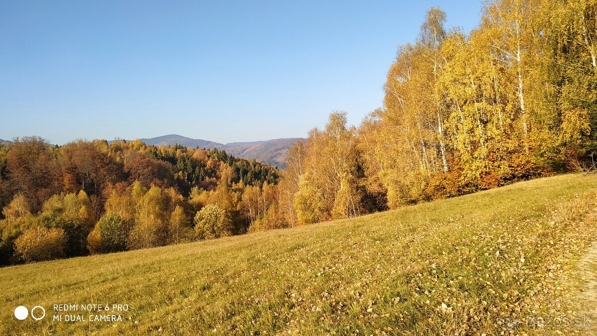 Seno pre miláčikov