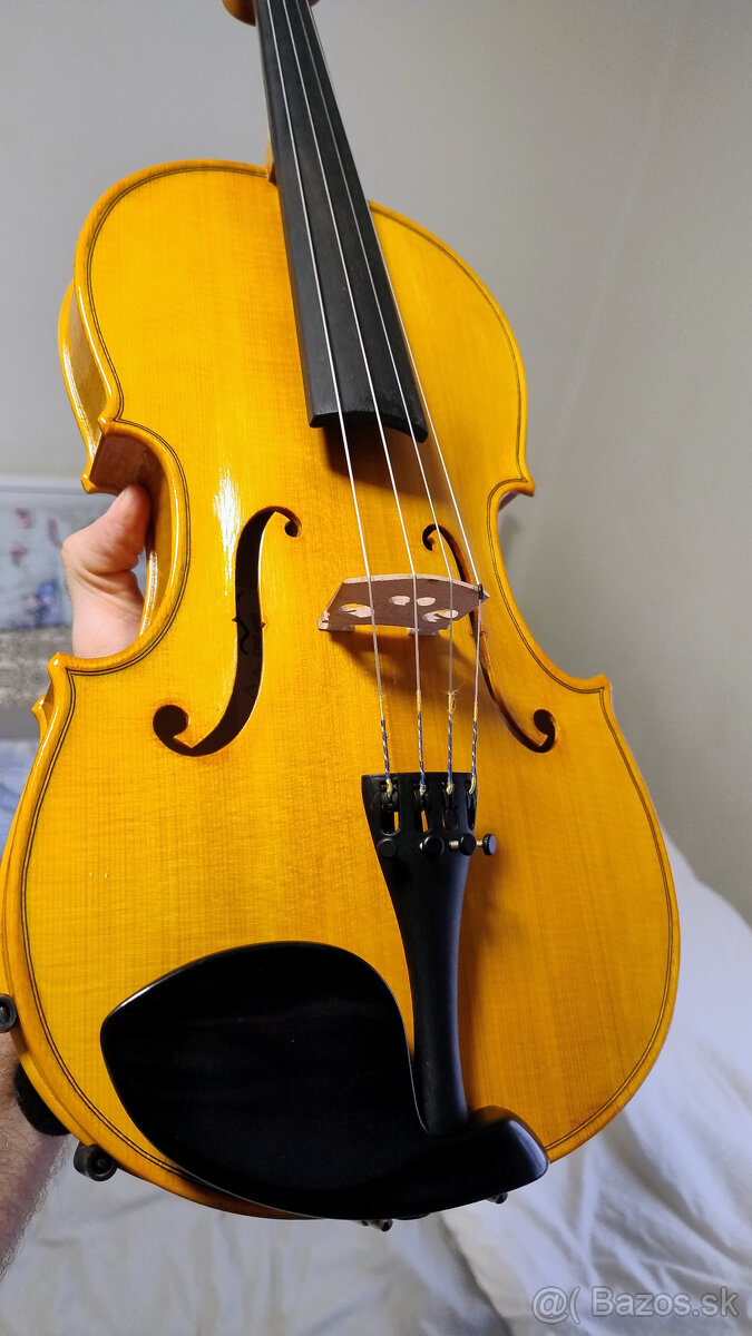 Viola 38,5 - Brasnyó Antal (Győr)