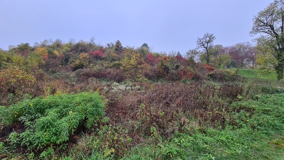 Pozemok/Záhrada 635m2 v obci Chrámec