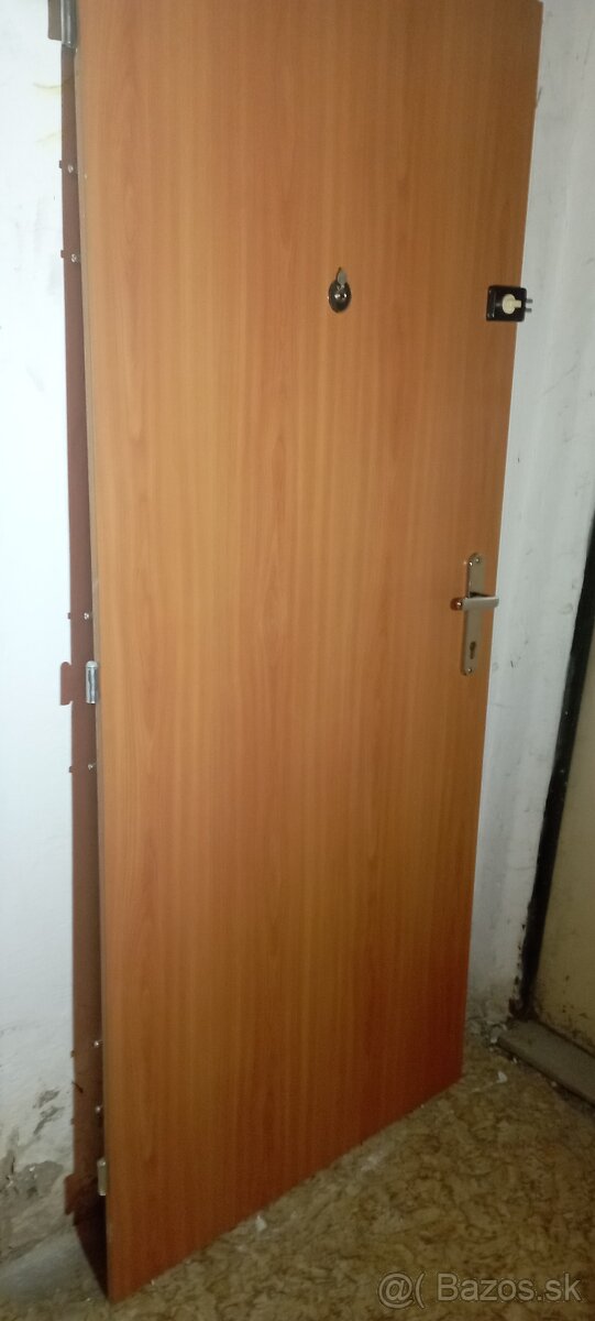 KVALITNÉ PANCIEROVÉ DVERE BCD1