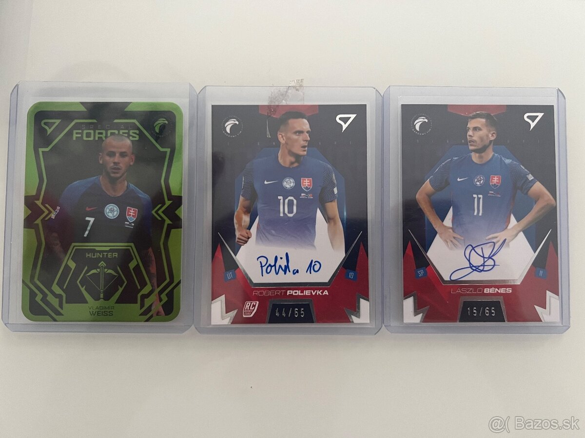 Slovenski sokoli 2024