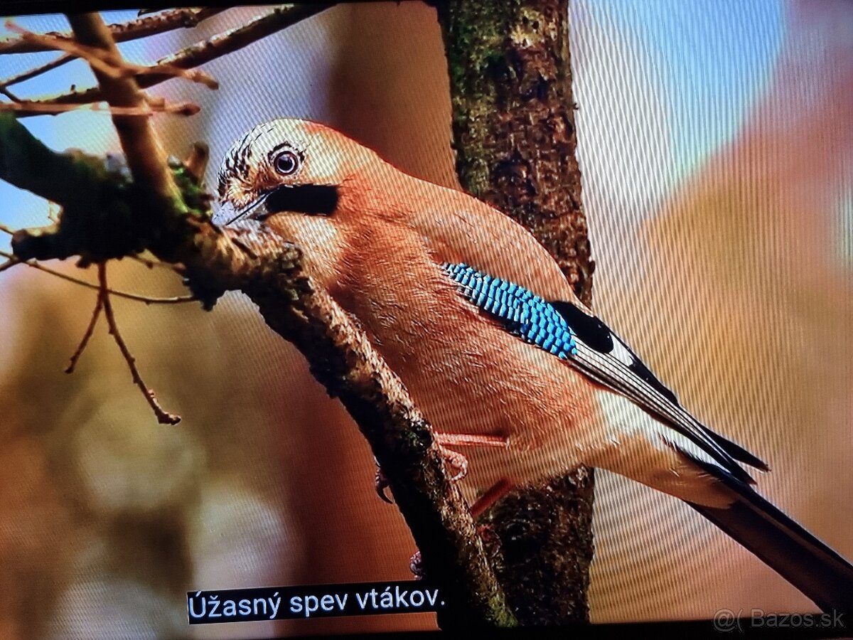 Predám Smart LED TV GRUNDIG 48VLE6421BL Full HD