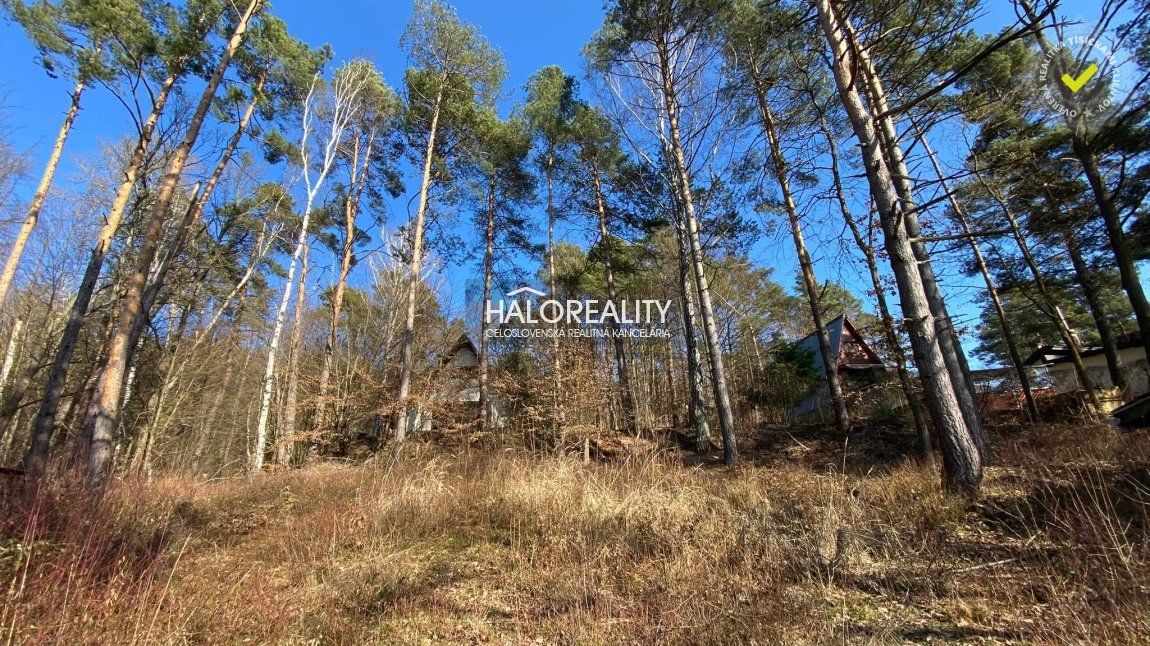HALO reality - Predaj, rekreačný pozemok Nová Kelča - IBA U 