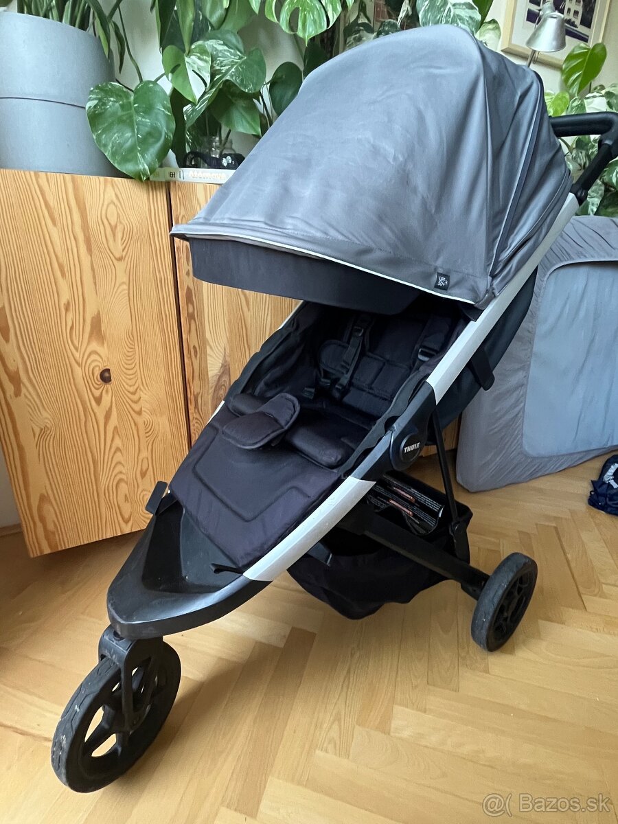 Kocik thule spring
