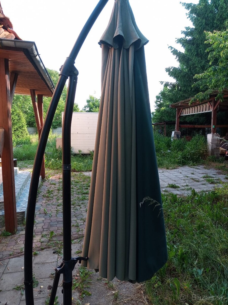Slnečník